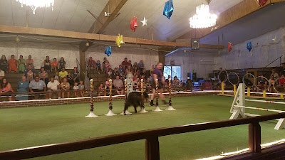 Land of Little Horses Performing Animal Theme Park