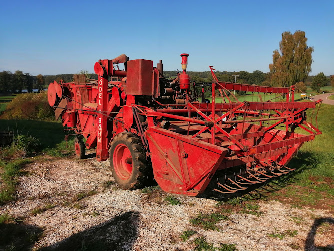 RS Carstyling aka Landmaschinenservice Richthammer Stefan