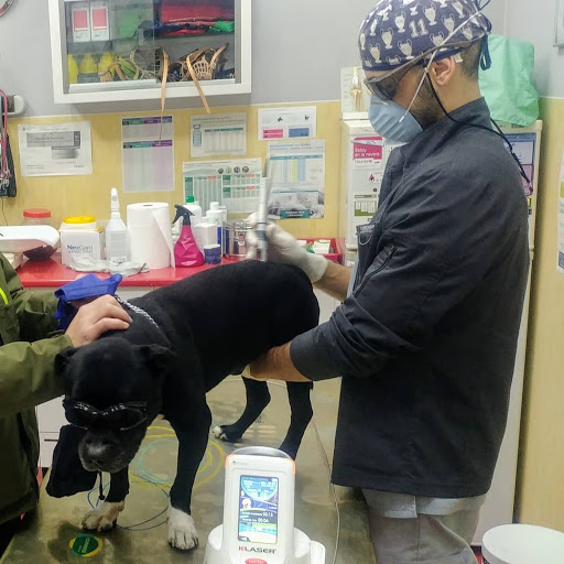 Clínica Veterinaria Don Can