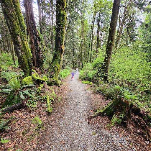Steelhead Falls View Point - Thumbnail