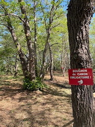 Photo n°7 de Corsican Paintball à Castellare-di-Casinca (Centre de paintball)