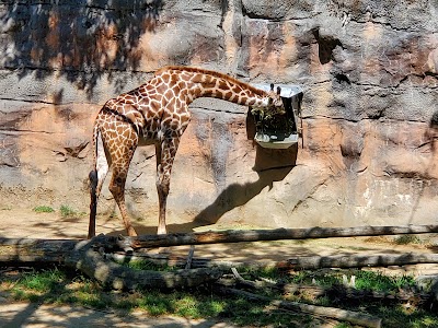 Oregon Zoo