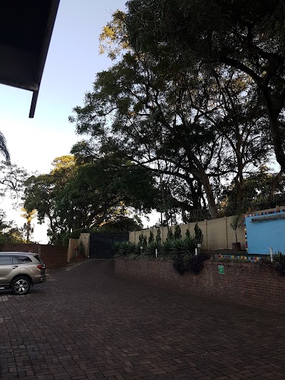 Photos of Pinetown Lala Land