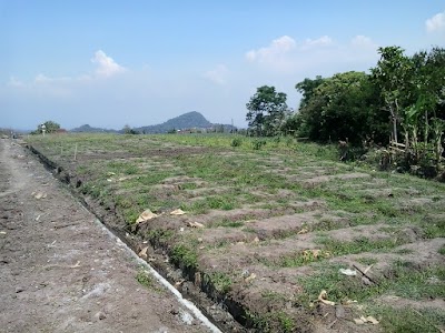 Photos of Villa Bukit Temas