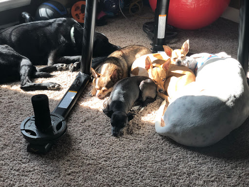 Briarwood Animal Hospital - Thumbnail