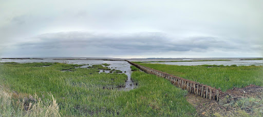 Beginn Hundewanderweg - Thumbnail