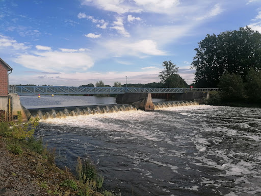 Hornbosteler Hutweide - Thumbnail