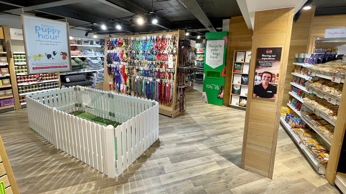 Pets Corner Bournemouth, Your Best Reviewed Local Pet Shop