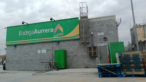 Bodega Aurrera Express, Villas Regina
