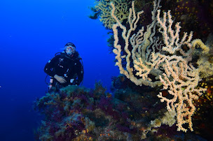 Photo n°7 de Explorasub à Cargèse (Centre de plongée)