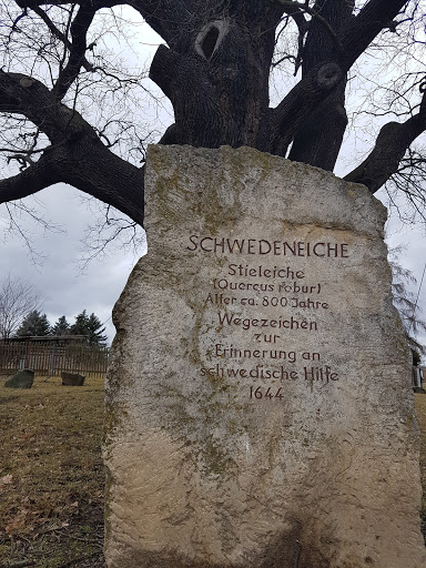 Schwedeneiche - Visual