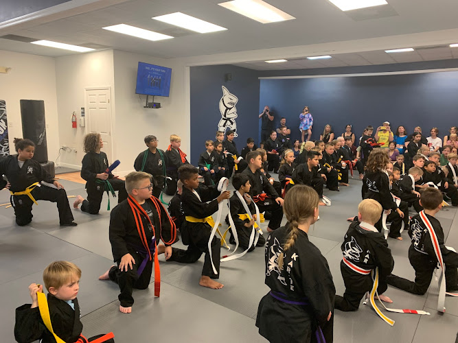 Action Karate River Hills Plaza - karate in Valrico, Florida