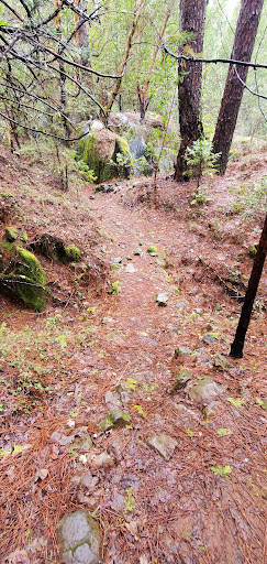 Zen Trail Trailhead - Thumbnail
