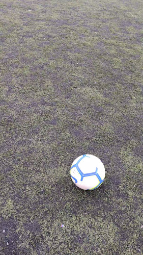 Avaliações sobre Santos FC - Satélite Field em São Paulo - Campo de futebol