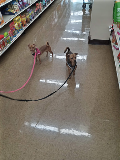Pet Supplies Plus Knoxville - Harvest - Thumbnail