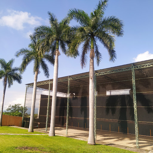 Frontón Yautepec - Visual
