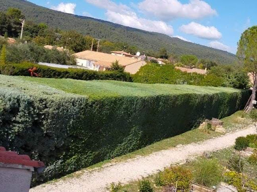 Photo de Services et Paysages à Pignans (83790)