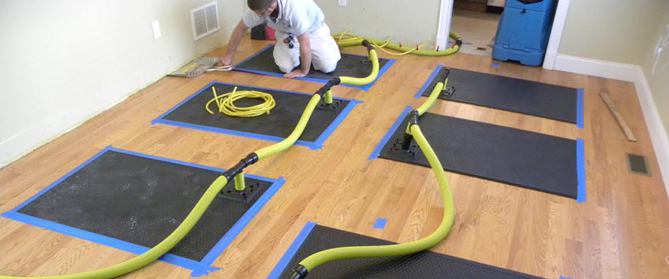 Water Damage Services Texas photo
