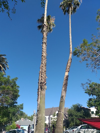 Park w restroom tree of life