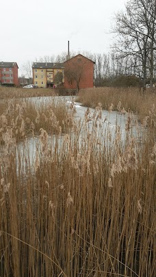 University of Bedfordshire luton