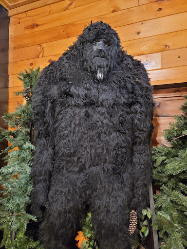 EXPEDITION:BIGFOOT! The Sasquatch Museum - Thumbnail
