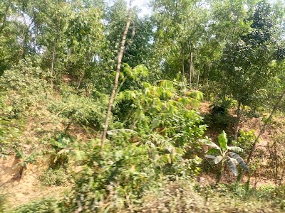 Photos of Baraitali Computer Education Center