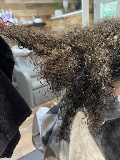 Shear Serenity Hair Studio - Thumbnail
