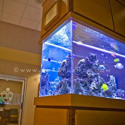 Southeast Aquariums