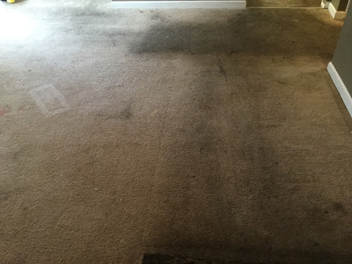 Clean & Dry Carpet Care - Thumbnail
