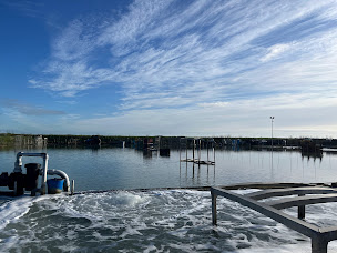 Photo n°4 de Fine de Cancale SCEA à Saint-Méloir-des-Ondes (Fournisseur d'huîtres)