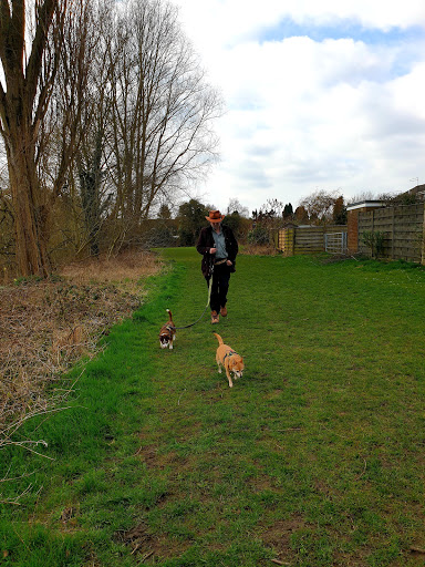 The Wier. Landing Lane. - Thumbnail
