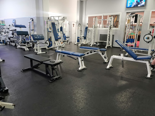 Palestra Body House A.S.D. - Thumbnail