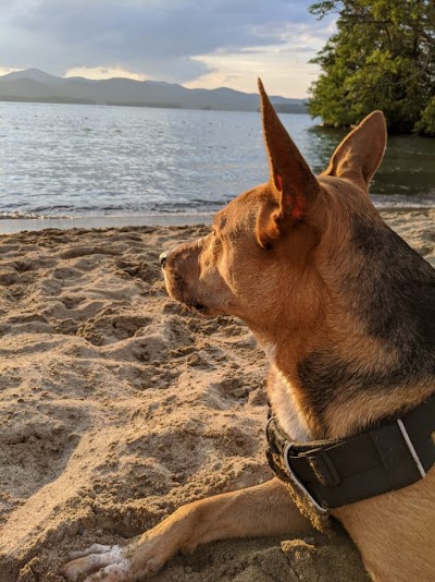 Pilot Knob Beach