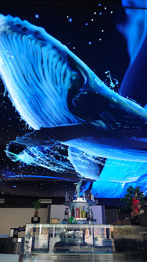 Aquarius pub - Visual