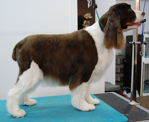 Zen Grooming - Thumbnail