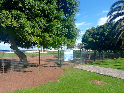 Perros San Jose Park
