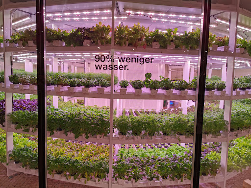 Feringa Center - Visual