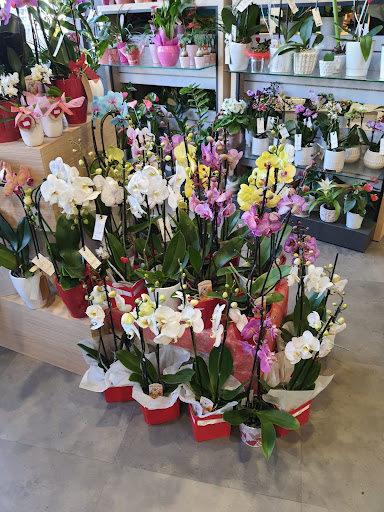 Arômes de Fleurs, Fleuriste Créateur Besançon