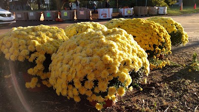 Photos of Carrigan Farms