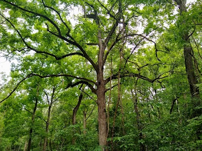 Caledon State Park