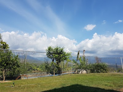 Photos of Restaurante El Potro