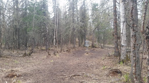 Alcantra Disc Golf Course - Thumbnail