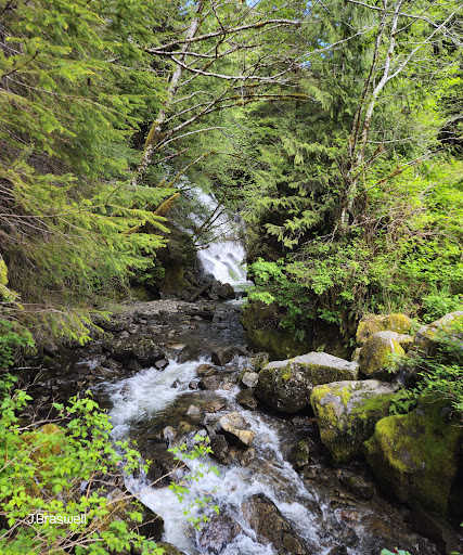 Rainbow Falls - Visual