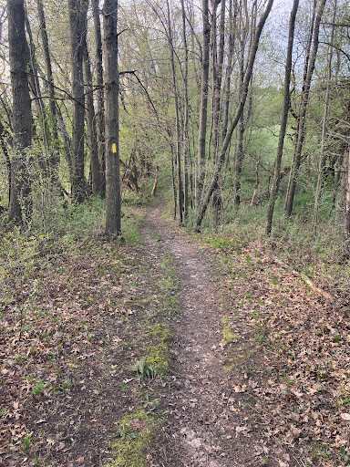 Ice Age Trail - New Hope Iola Ski Hill Segment - Thumbnail