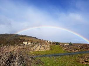 Photo n°4 de Domaine Laurent MARTIN à Régnié-Durette (Vignoble)