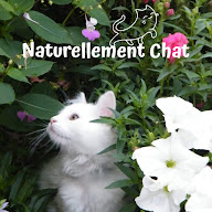 Naturellement Chat - Comportementaliste félin à Saint-Herblain