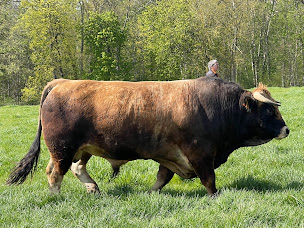 Photo n°24 de Ferme de Fourches à Limoges-Fourches (Magasin de produits de la ferme)
