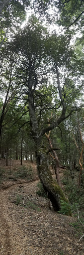 Tolkan Campground - Thumbnail
