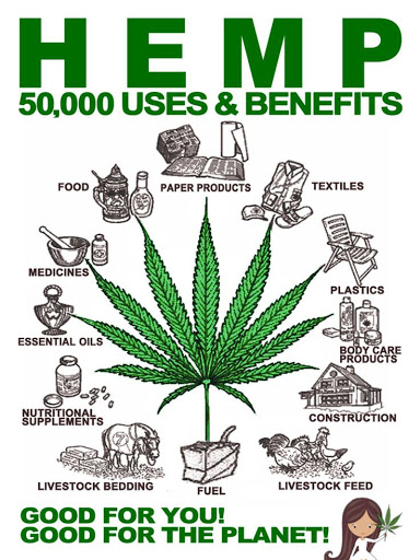 Hemp Health - Thumbnail