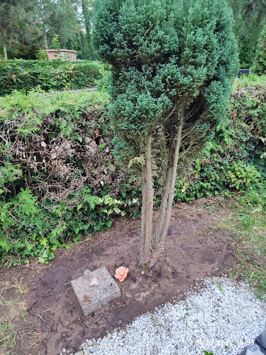 S & G Automobile, Immobilien & Personal GmbH